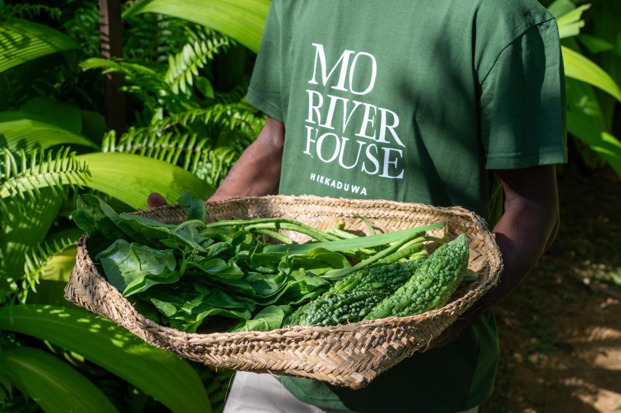 Mo River House Luxury Villa Hikkaduwa Exterior foto